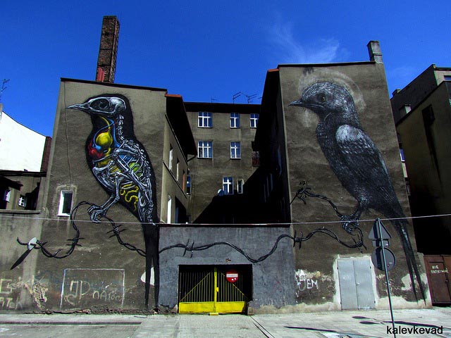 ROA