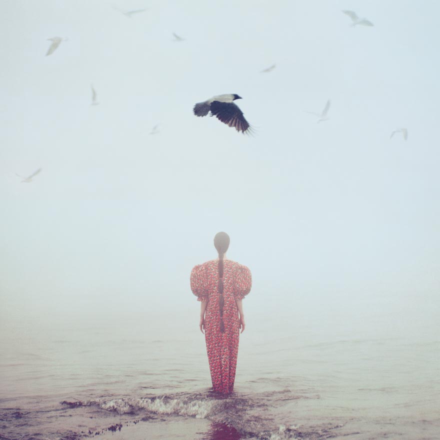 Oprisco photography