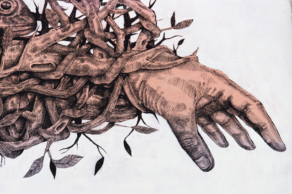 Alexis Diaz / Detail