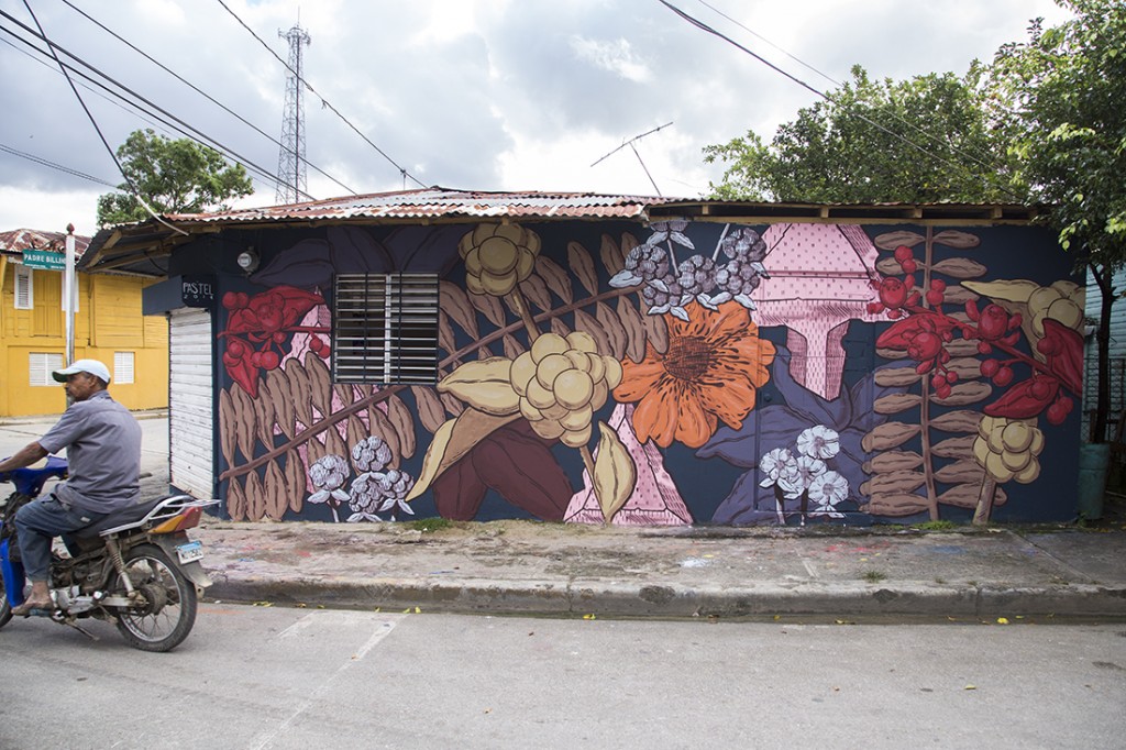 Pastel - Mural for The ArteSano Project, Rio San Juan, Dominican Republic, 2014