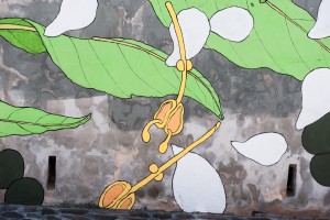 Doa Oa, Gaeta/ Photo: Flavia Fiengo