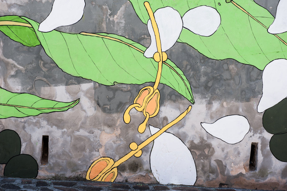 Doa Oa, Gaeta/ Photo: Flavia Fiengo