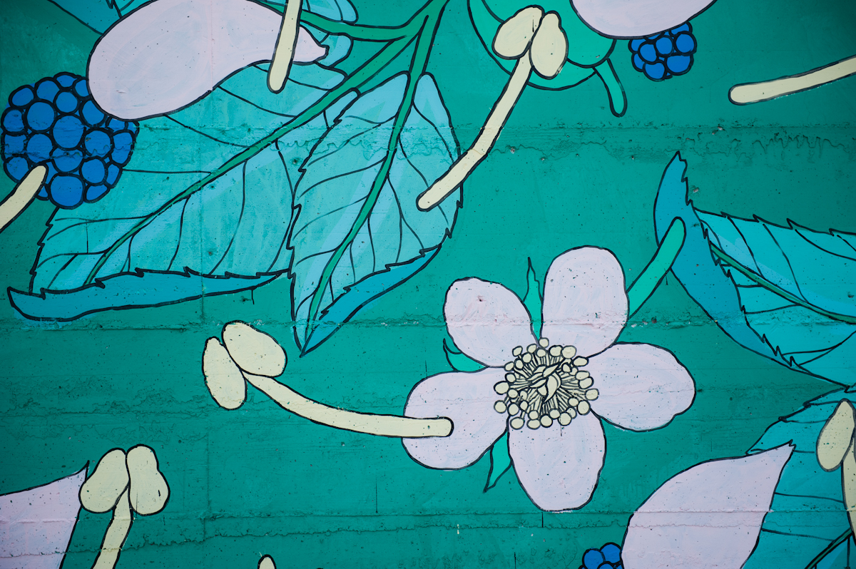 Doa Oa, Gaeta/ Photo: Flavia Fiengo