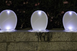 The Government don´t give a shit about the Spanish Constitution