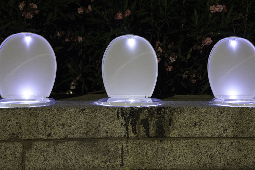 The Government don´t give a shit about the Spanish Constitution