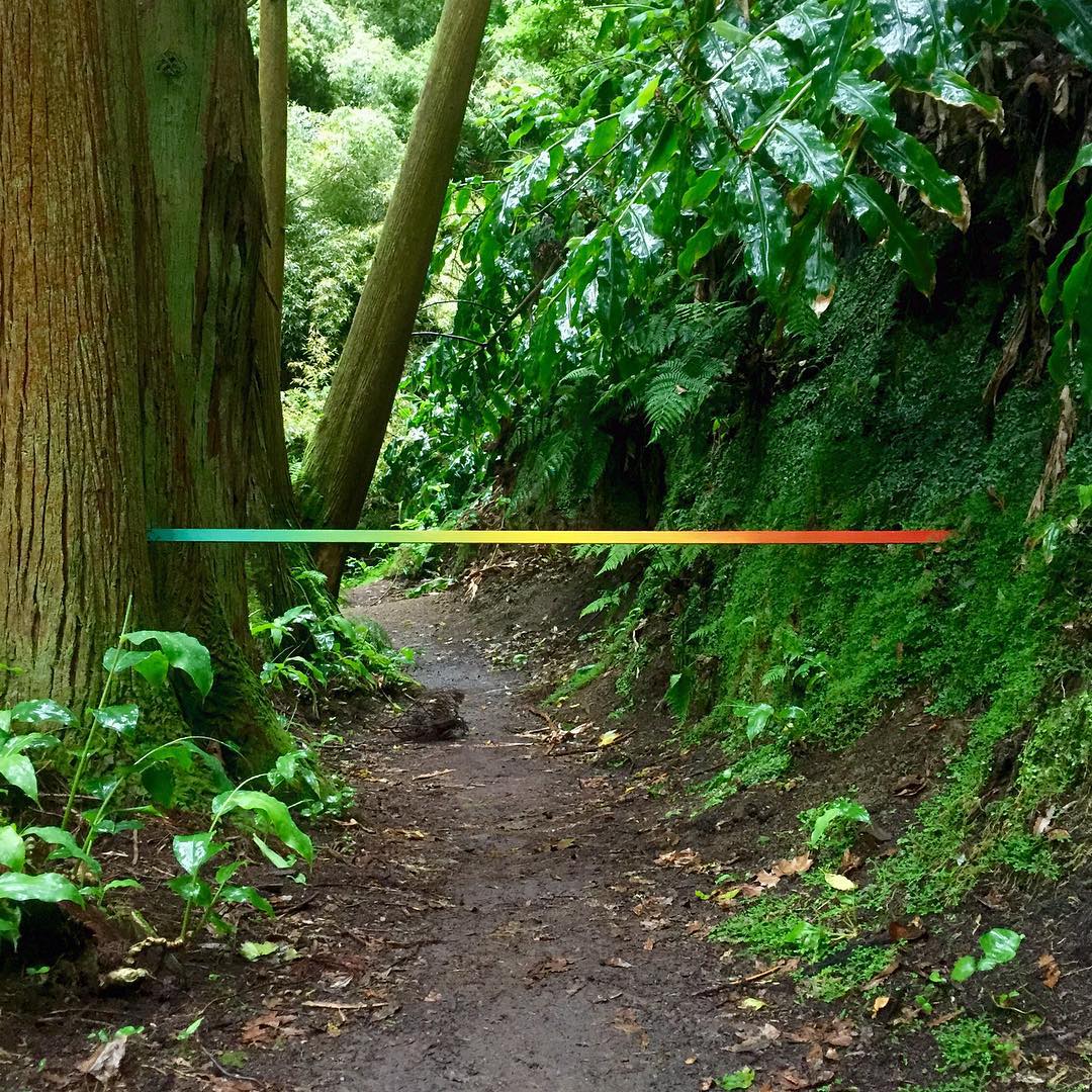 Christopher Derek Bruno