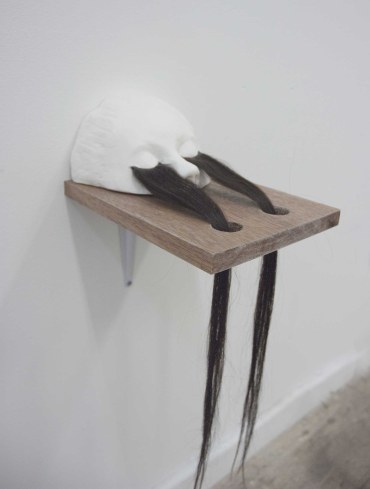 F. Roberts - Emergence - Hyper-Cilia 2, 2011