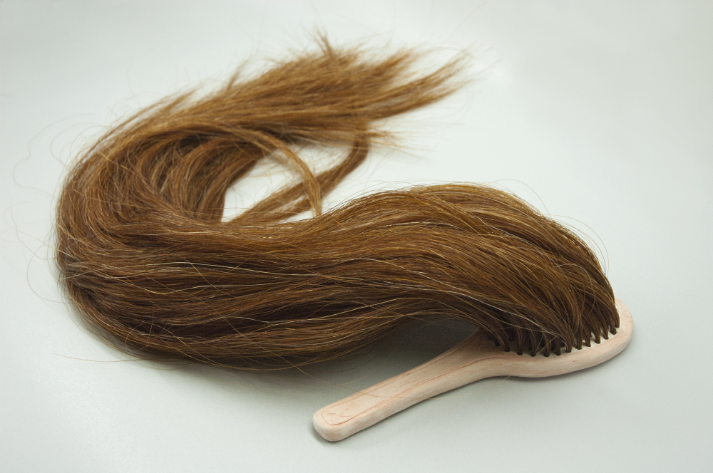 F. Roberts - Intimate Vestiges - Hairbrush