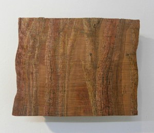 Daniel Roșu Gutman - MORA