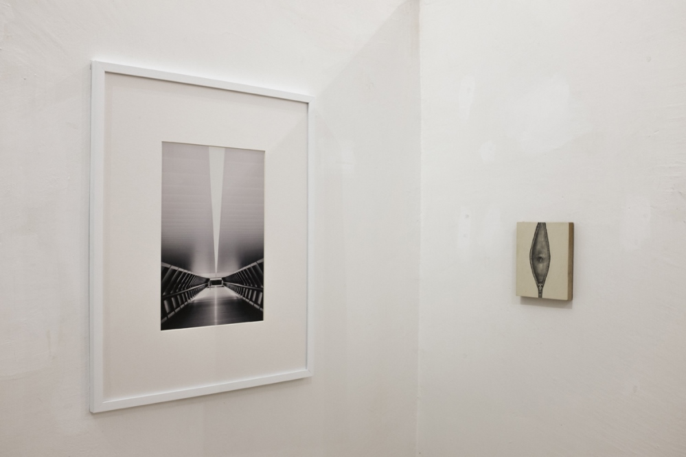 AdaMuntean - Soft Hollow