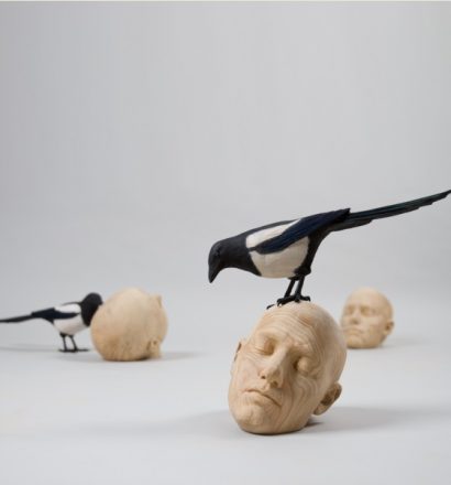 Gerard Mas - Ornithologies