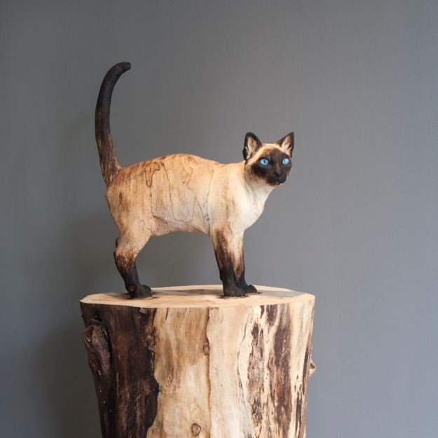 Gerard Mas - Schrödinger's cat