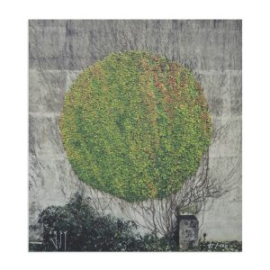 Nuart - ‘The Utopia Box-set’ - SpY